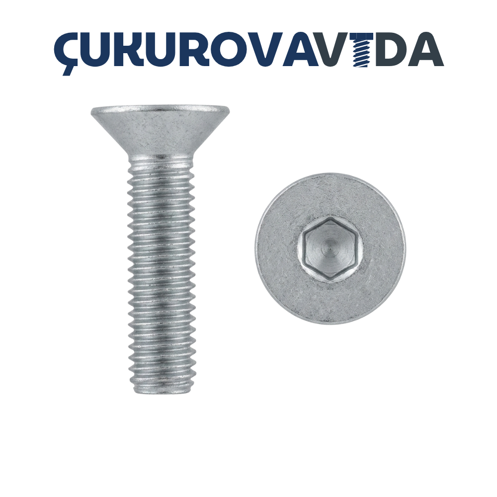 Havşa Başlı İmbus (Alyan) Cıvata